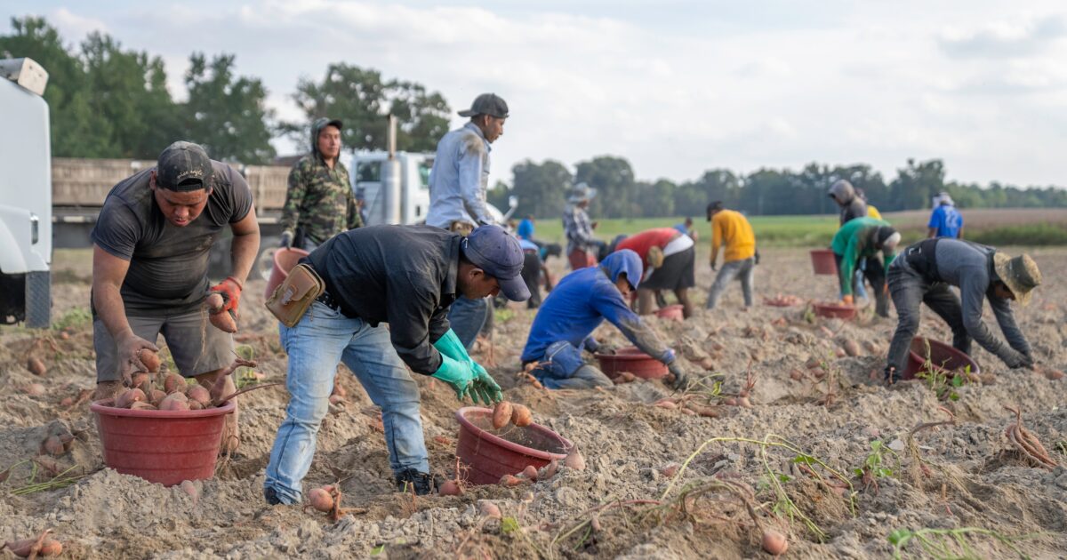 Labor and Immigration Reform in Agriculture