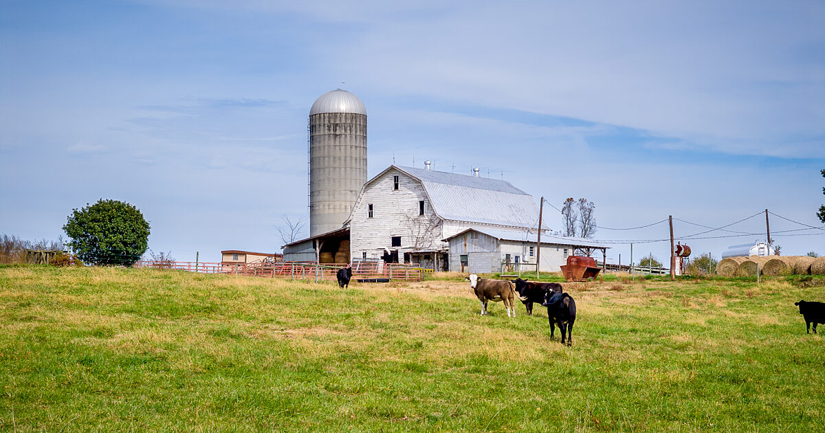 Congress is Failing America’s Farmers | News Release | American Farm ...